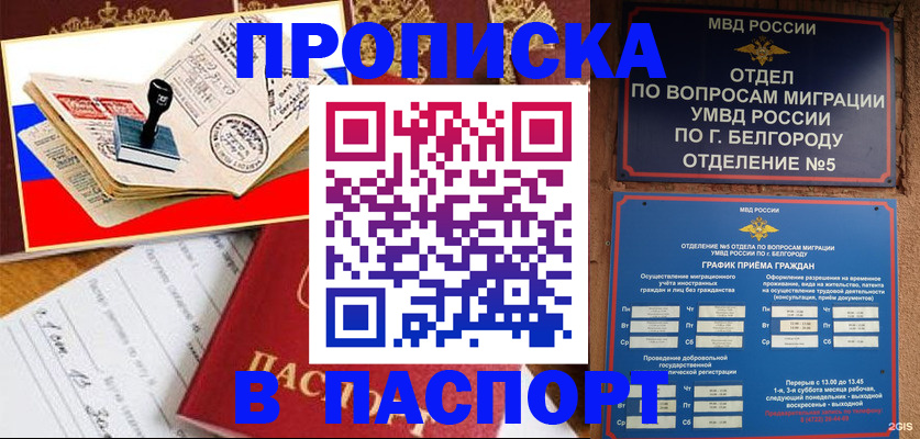 купить прописку в Ивантеевке